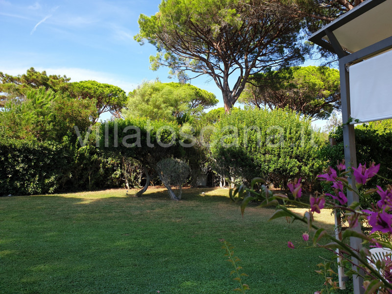 Immagine 3 di Villa in vendita  in Consorzio Pineta di Roccamare a Castiglione Della Pescaia