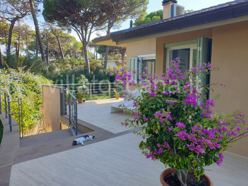 Immagine 5 di Villa in vendita  in Consorzio Pineta di Roccamare a Castiglione Della Pescaia