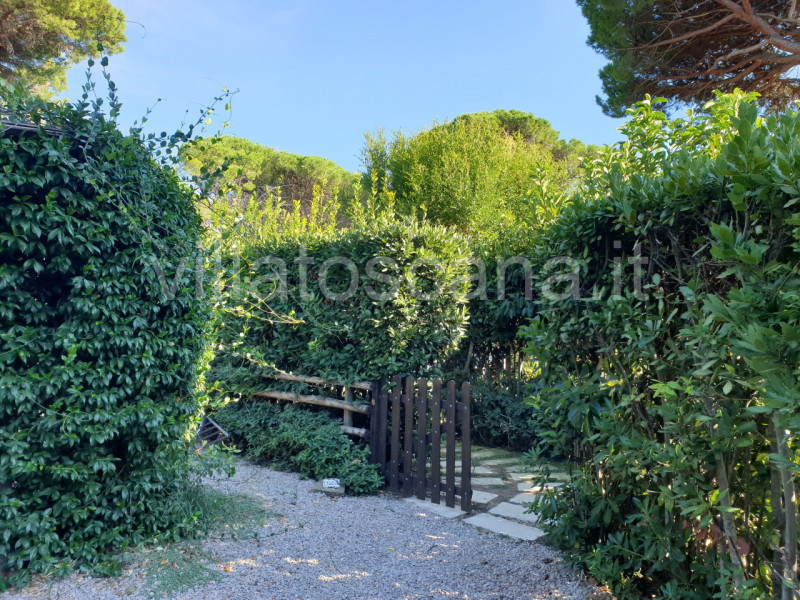 Immagine 61 di Villa in vendita  in Consorzio Pineta di Roccamare a Castiglione Della Pescaia