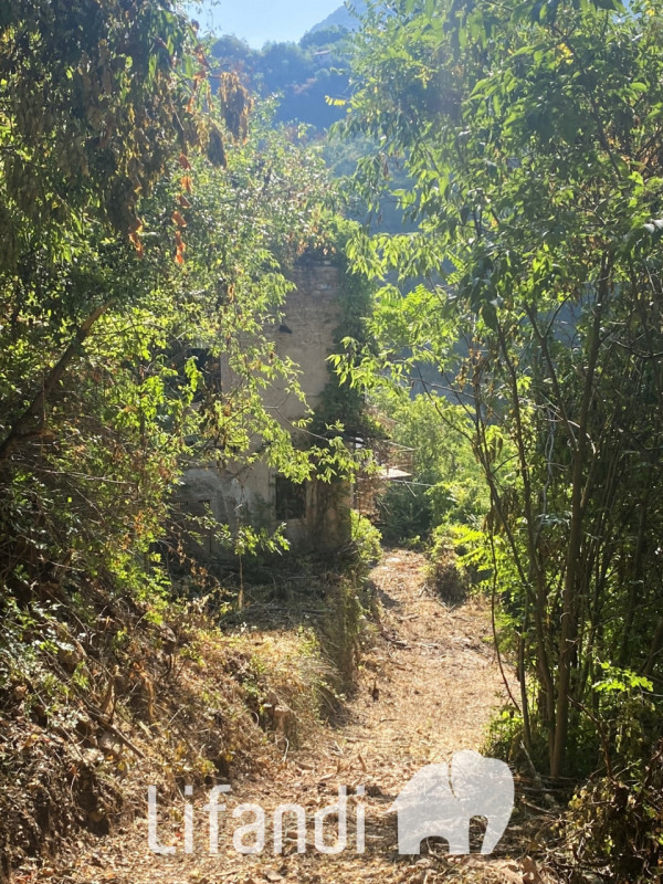 Foto annuncio 2
