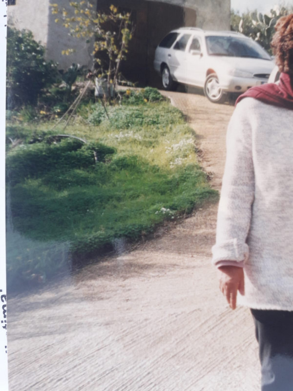 Immagine 5 di Casa indipendente in vendita  in Contarda Grotticelle a Castellammare Del Golfo