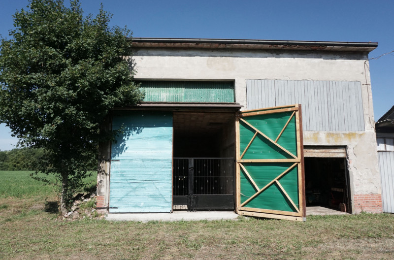 Immagine 35 di Rustico / casale in vendita  in Via Vittorina Nenni, 26/24 a Torrile