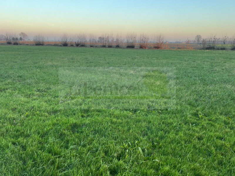 Immagine 3 di Rustico / casale in vendita  in redondesco a Redondesco