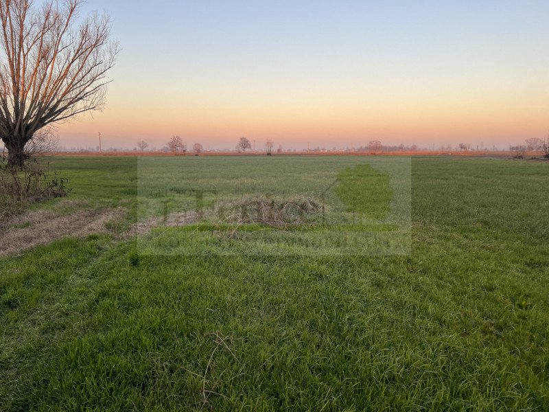 Immagine 7 di Rustico / casale in vendita  in redondesco a Redondesco