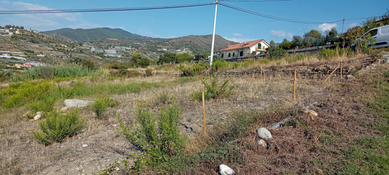 Immagine 1 di Terreno in vendita  in Via Frantoi Canai a San Remo
