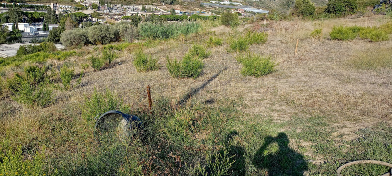 Immagine 3 di Terreno in vendita  in Via Frantoi Canai a San Remo