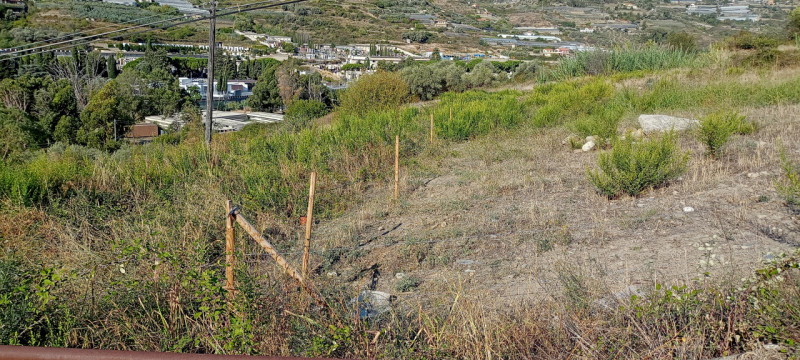 Immagine 5 di Terreno in vendita  in Via Frantoi Canai a San Remo
