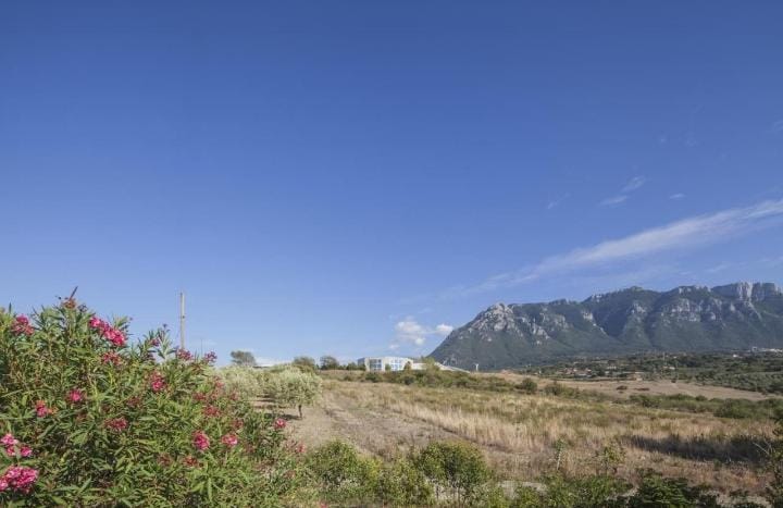 Immagine 8 di Rustico / casale in vendita  in VIA MONACO a Postiglione
