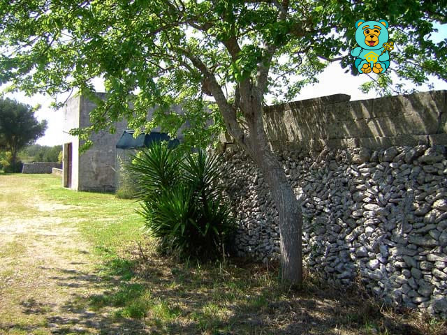 Immagine 2 di Villa in vendita  in strada provinciale lecce torre dell'orso a Melendugno