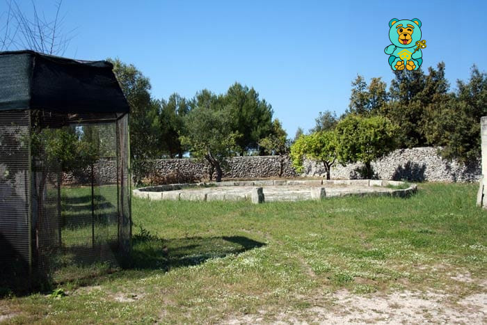 Immagine 6 di Villa in vendita  in strada provinciale lecce torre dell'orso a Melendugno