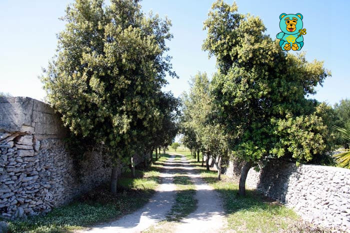 Immagine 7 di Villa in vendita  in strada provinciale lecce torre dell'orso a Melendugno