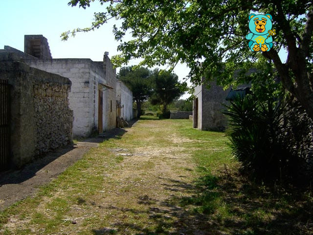 Immagine 8 di Villa in vendita  in strada provinciale lecce torre dell'orso a Melendugno