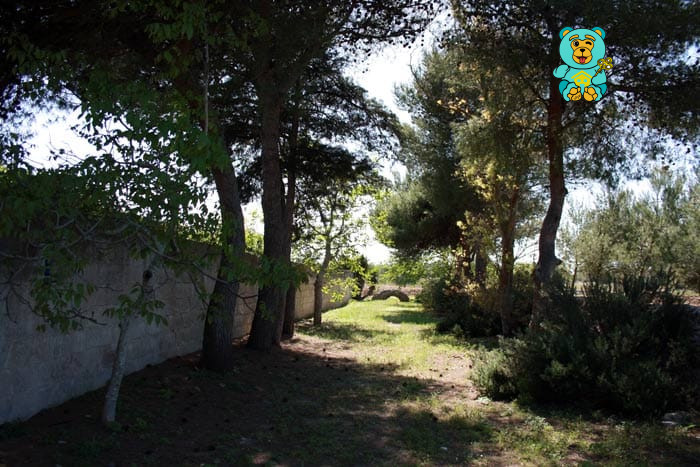 Immagine 11 di Villa in vendita  in strada provinciale lecce torre dell'orso a Melendugno