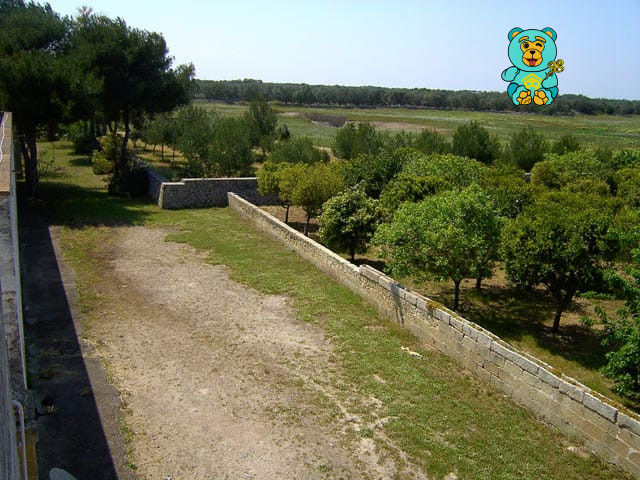 Immagine 14 di Villa in vendita  in strada provinciale lecce torre dell'orso a Melendugno
