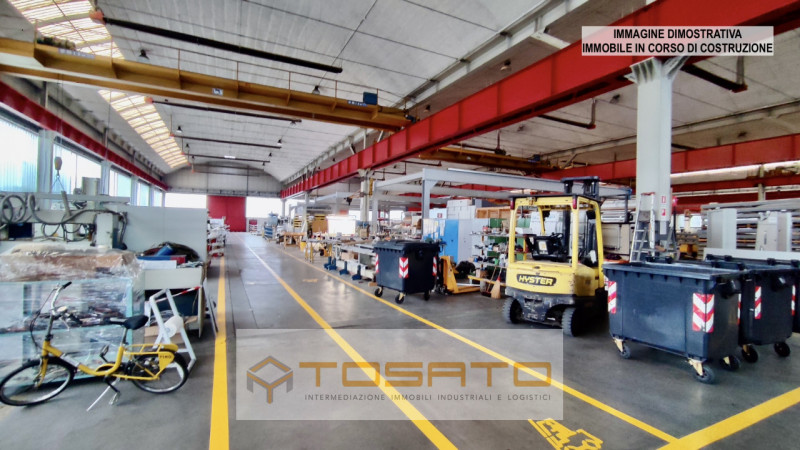 Immagine 3 di Capannone industriale in vendita  a Sommacampagna