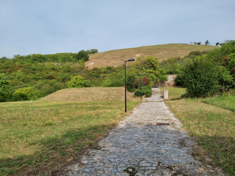Immagine 3 di Terreno in vendita  in via monte rosoleo a Albettone