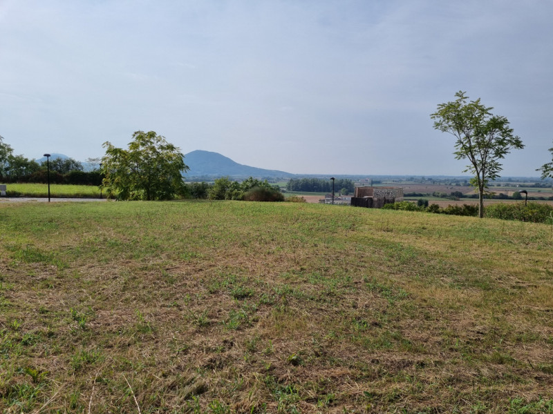 Immagine 4 di Terreno in vendita  in via monte rosoleo a Albettone