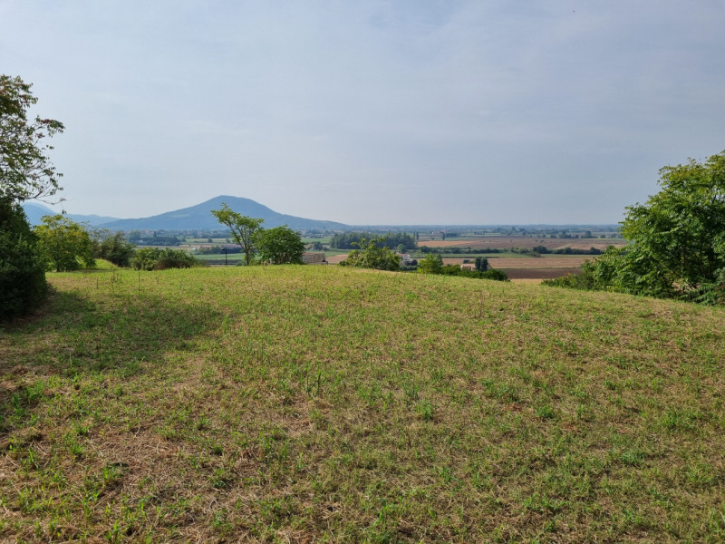 Immagine 5 di Terreno in vendita  in via monte rosoleo a Albettone