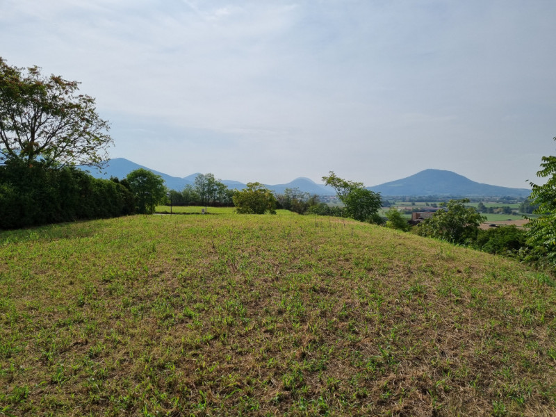 Immagine 6 di Terreno in vendita  in via monte rosoleo a Albettone