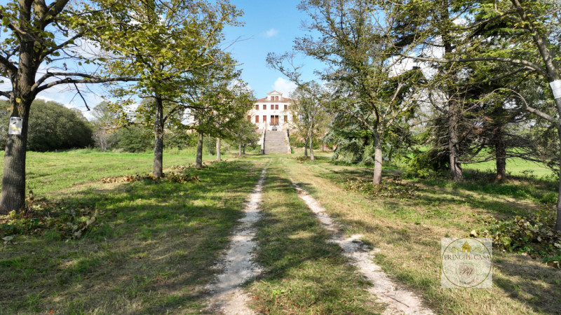 Immagine 11 di Villa in vendita  in via Cà Barbaro a Baone