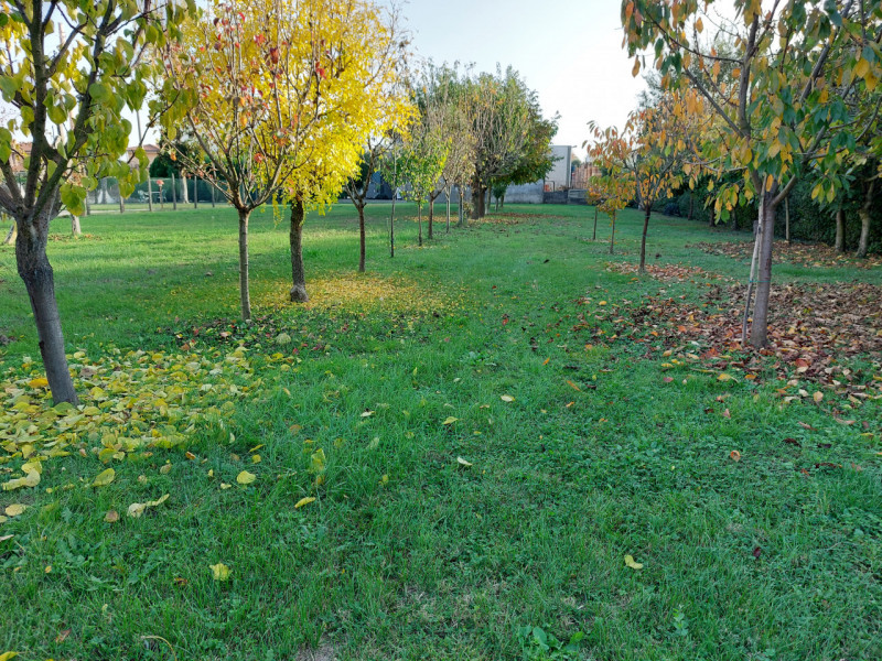 Immagine 2 di Terreno in vendita  a Badia Polesine