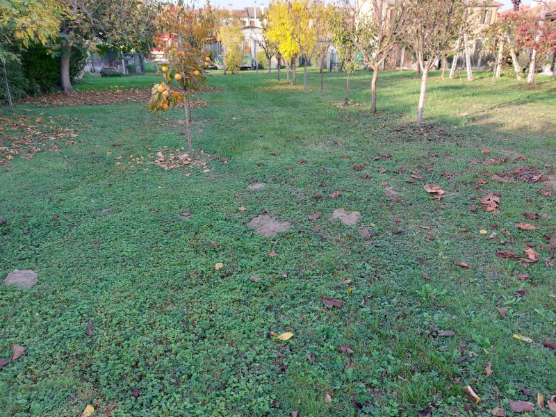 Immagine 3 di Terreno in vendita  a Badia Polesine