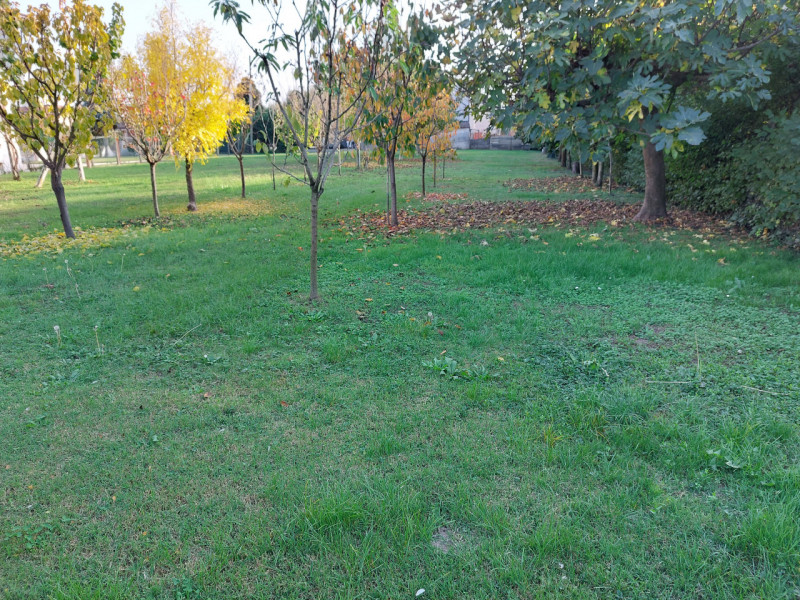 Immagine 4 di Terreno in vendita  a Badia Polesine