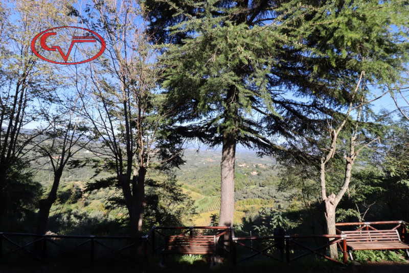 Immagine 9 di Casa indipendente in vendita  in moncioni a Montevarchi