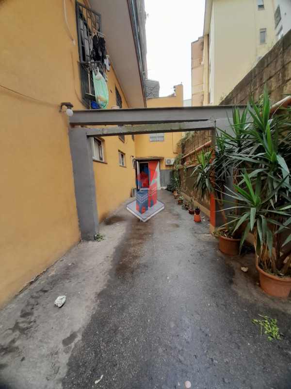 Foto annuncio 7