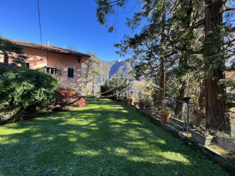 Immagine 9 di Villa in vendita  a Carate Urio