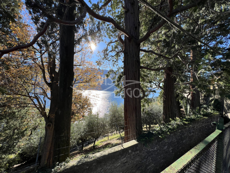 Immagine 17 di Villa in vendita  a Carate Urio