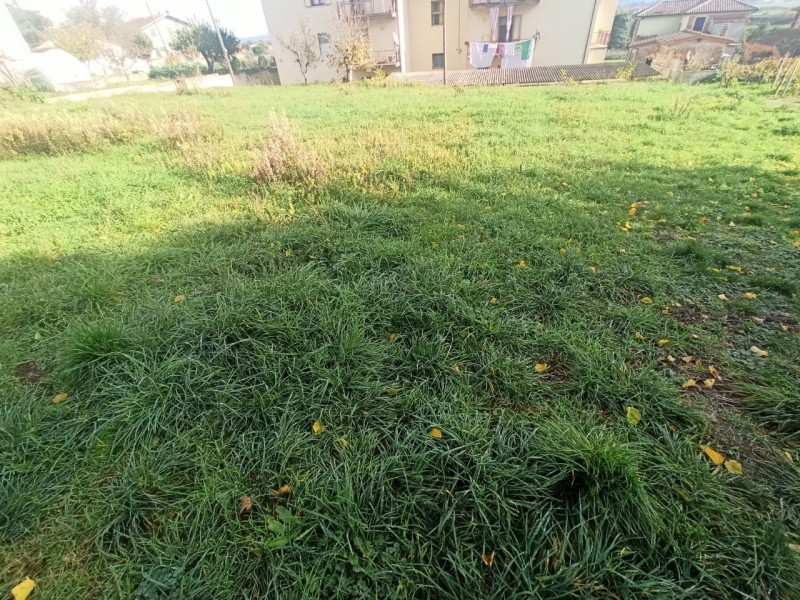 Immagine 2 di Terreno in vendita  in Via Roma a Castiglione Del Lago