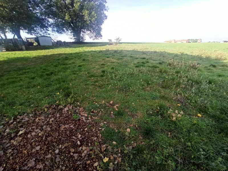 Immagine 3 di Terreno in vendita  in Via Roma a Castiglione Del Lago