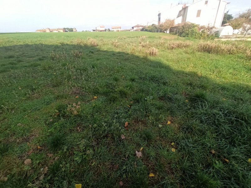 Immagine 4 di Terreno in vendita  in Via Roma a Castiglione Del Lago