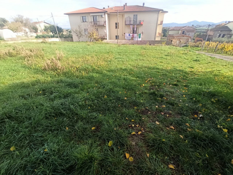 Immagine 5 di Terreno in vendita  in Via Roma a Castiglione Del Lago
