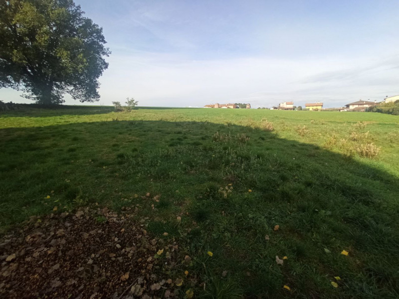 Immagine 7 di Terreno in vendita  in Via Roma a Castiglione Del Lago