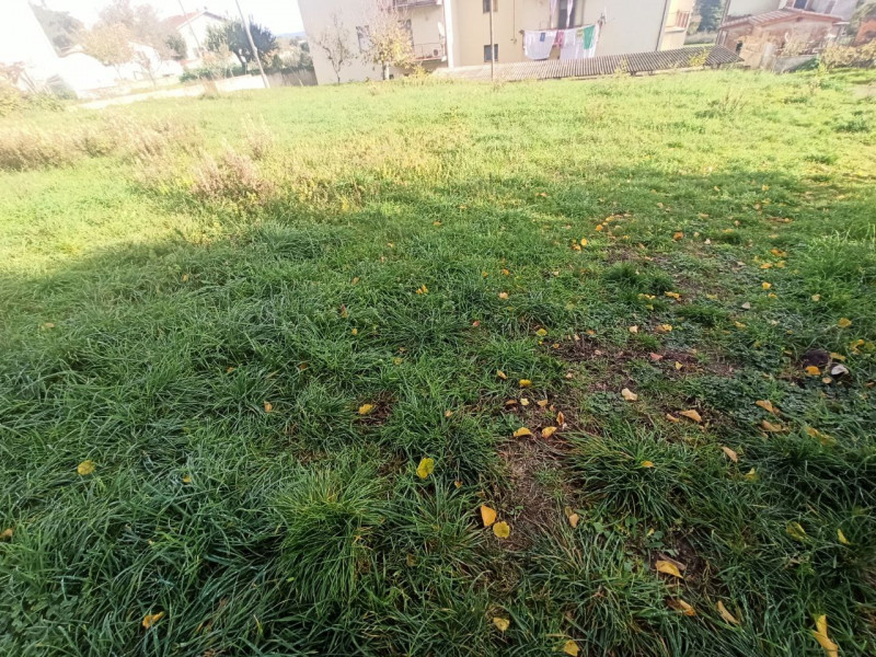 Immagine 8 di Terreno in vendita  in Via Roma a Castiglione Del Lago