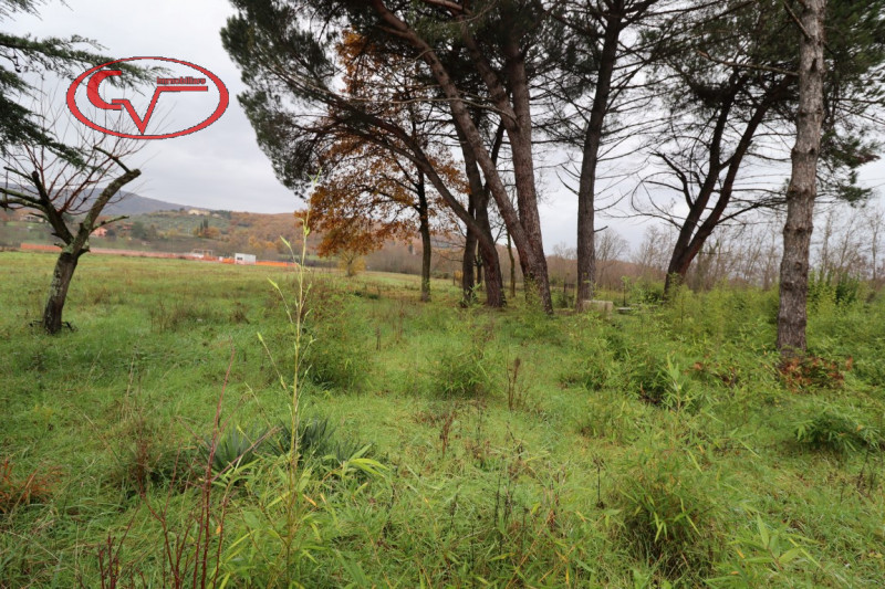 Immagine 4 di Villa in vendita  in ambra a Bucine