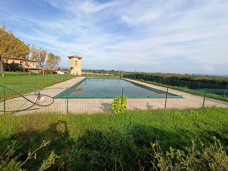Immagine 14 di Agriturismo in vendita  in via Roma a Castiglione Del Lago