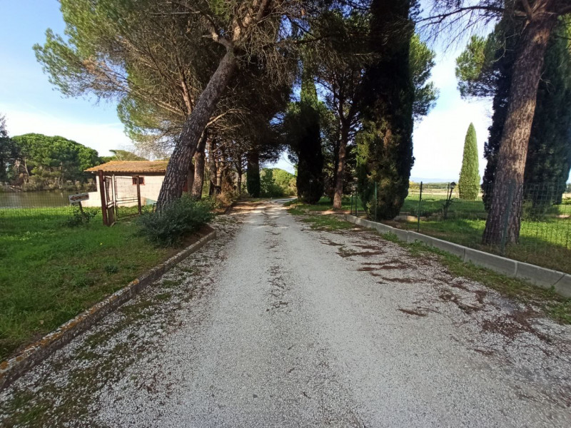 Immagine 17 di Agriturismo in vendita  in via Roma a Castiglione Del Lago