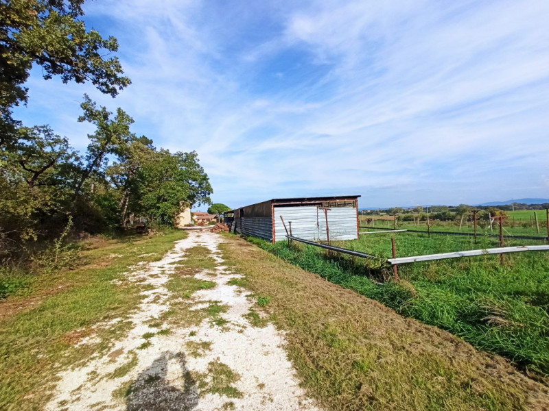 Immagine 20 di Agriturismo in vendita  in via Roma a Castiglione Del Lago
