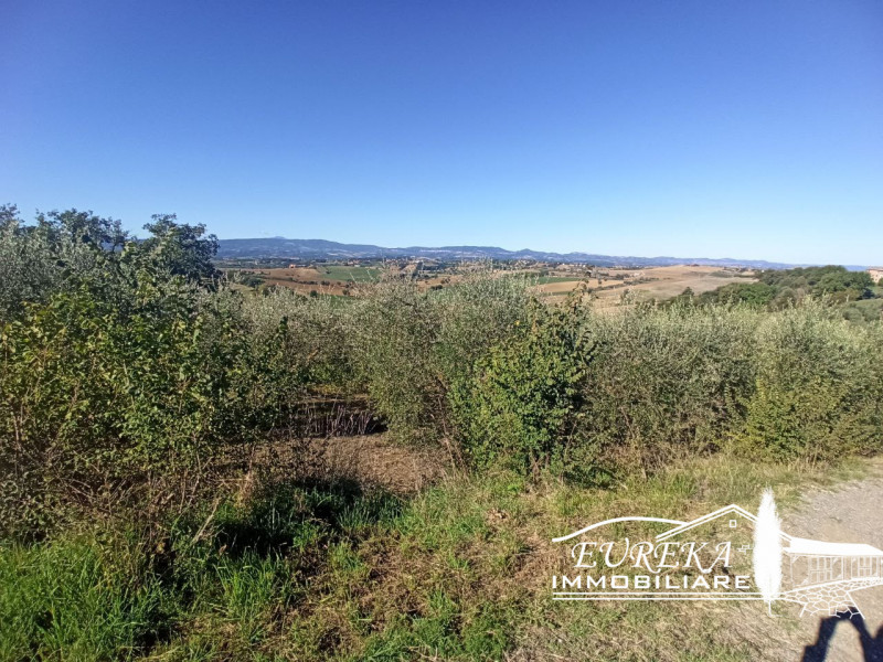 Immagine 5 di Terreno in vendita  in gioiella a Castiglione Del Lago