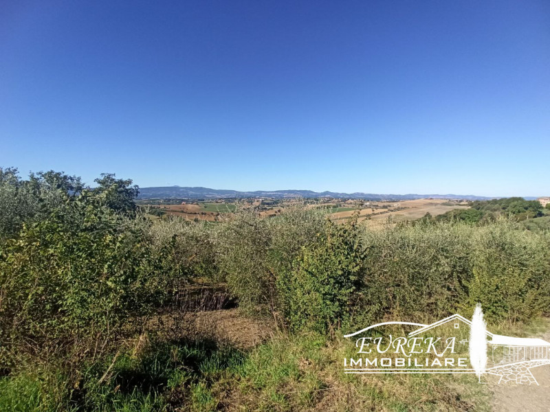 Immagine 6 di Terreno in vendita  in gioiella a Castiglione Del Lago