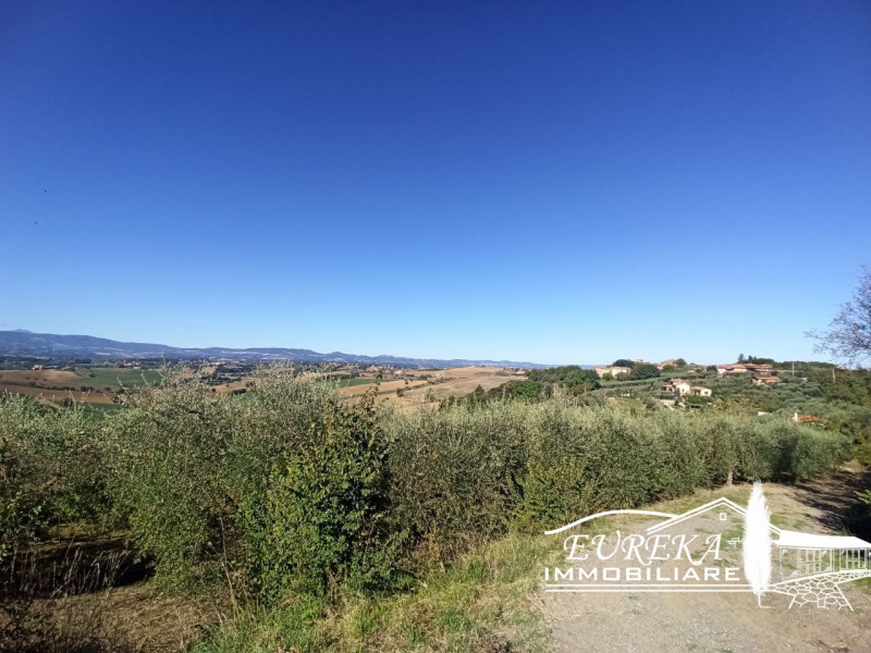 Immagine 7 di Terreno in vendita  in gioiella a Castiglione Del Lago