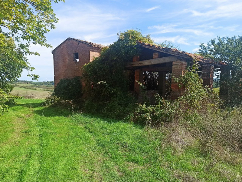 Immagine 5 di Rustico / casale in vendita  in Via Roma a Castiglione Del Lago