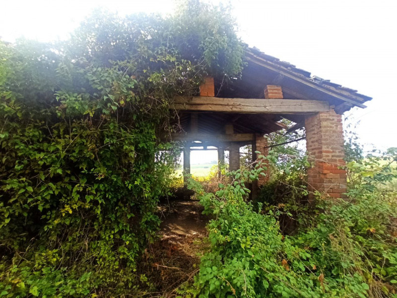 Immagine 6 di Rustico / casale in vendita  in Via Roma a Castiglione Del Lago