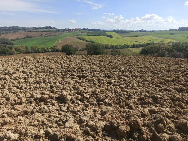 Immagine 7 di Rustico / casale in vendita  in Via Roma a Castiglione Del Lago