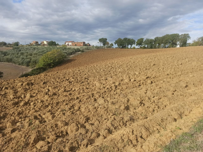 Immagine 8 di Rustico / casale in vendita  in Via Roma a Castiglione Del Lago