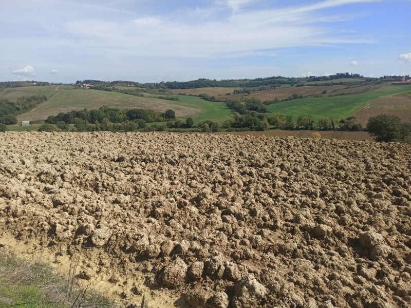 Immagine 9 di Rustico / casale in vendita  in Via Roma a Castiglione Del Lago