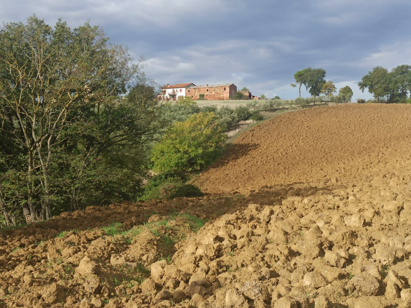 Immagine 10 di Rustico / casale in vendita  in Via Roma a Castiglione Del Lago